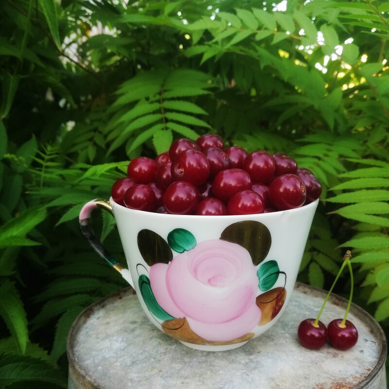 вишенки - людмила дзюба 