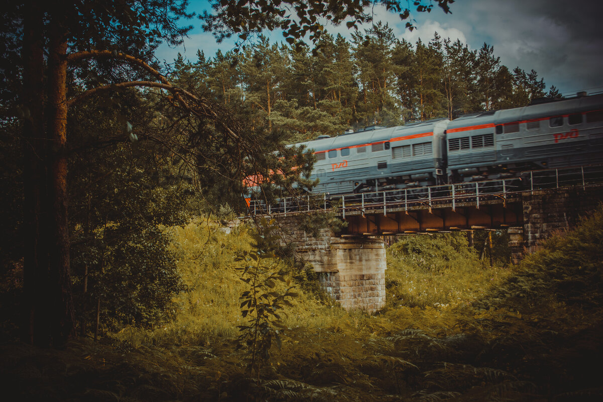 паровоз - Дима Дима