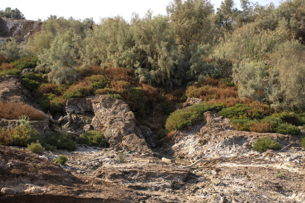 солёные берега ММ - 7 - Tatiana Kolnogorov