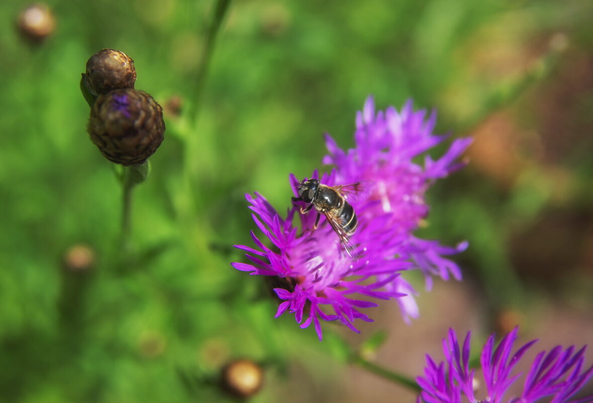 *** - Сергей Могутов *** - Сергей Могутов