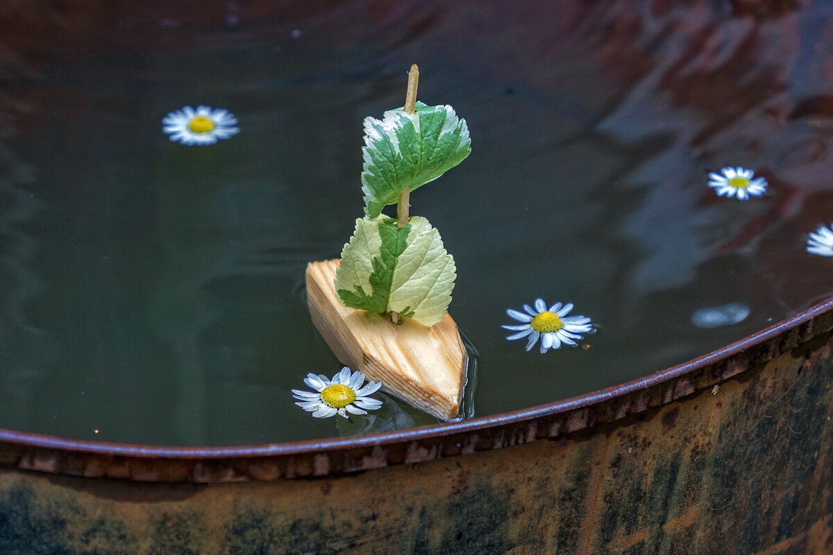 С Днём ВМФ ! - Анатолий. Chesnavik. С Днём ВМФ ! - Анатолий. Chesnavik.