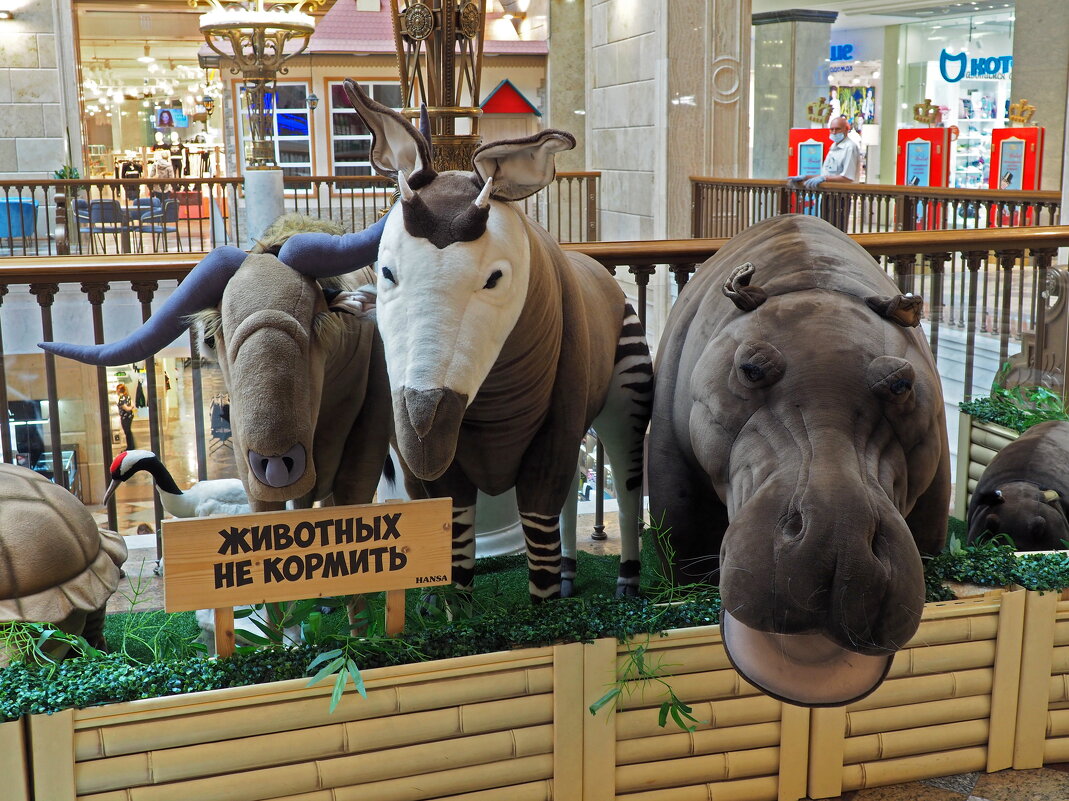 Детский мир - Yuriy V