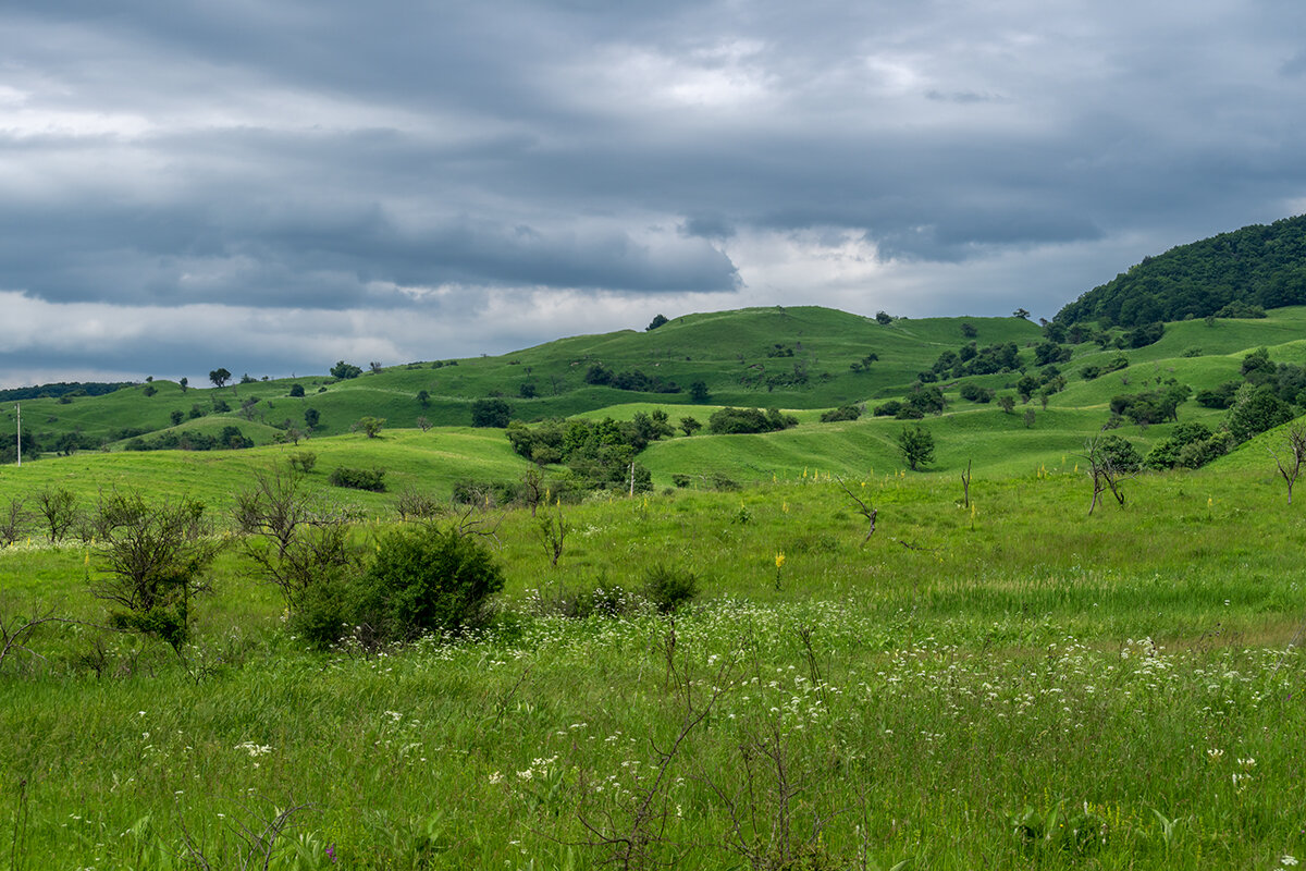 Лабинский район, Краснодарский край - Игорь Сикорский