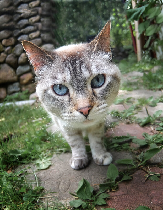 ... - ВЛАДИМИР 