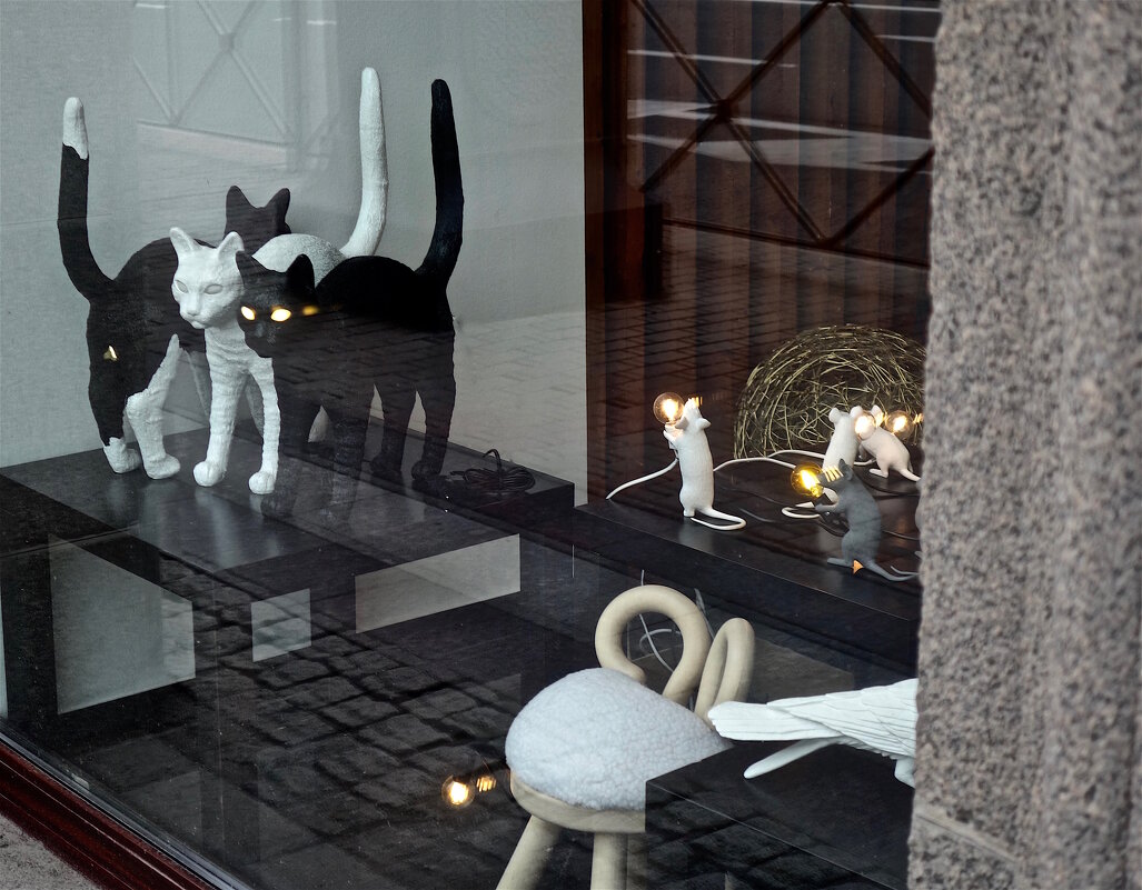 кошки-мышки - Елена кошки-мышки - Елена