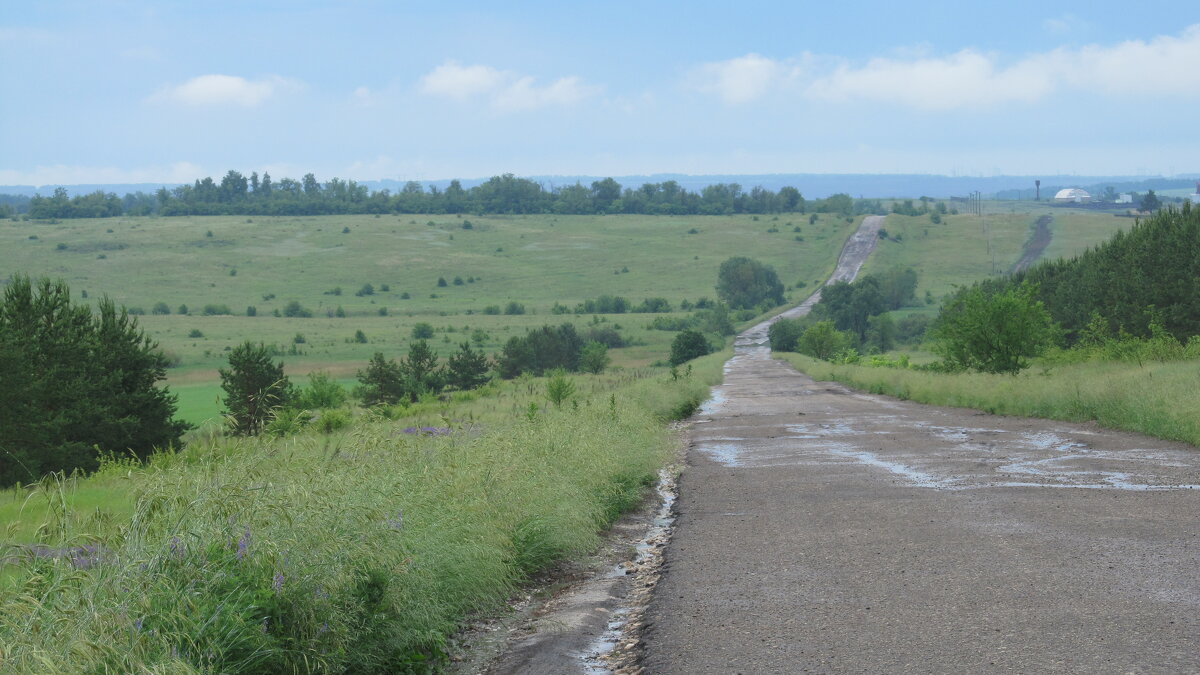 пути-дороги - Елена Шаламова