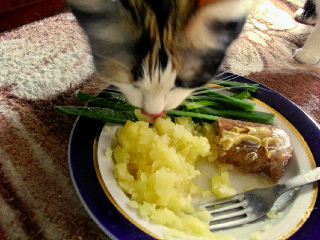 Подзакусим... - Milocs Морозова Людмила