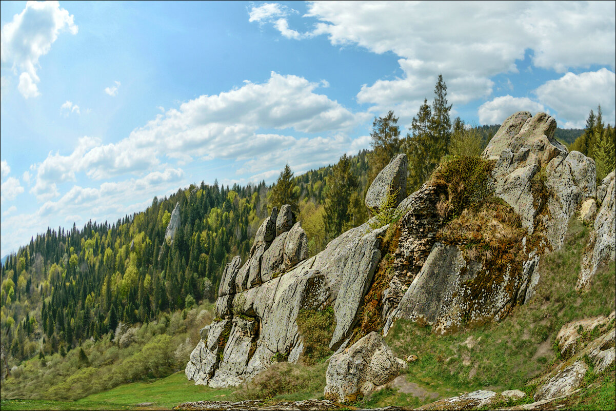 В Карпатах. - Юрий Гординский