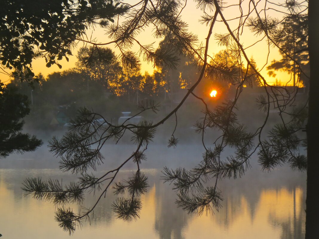 августовский рассвет под Лугой - Елена 
