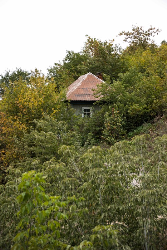 Начало осени. Избушка в лесу на крутом склоне - Андрей Мичурин