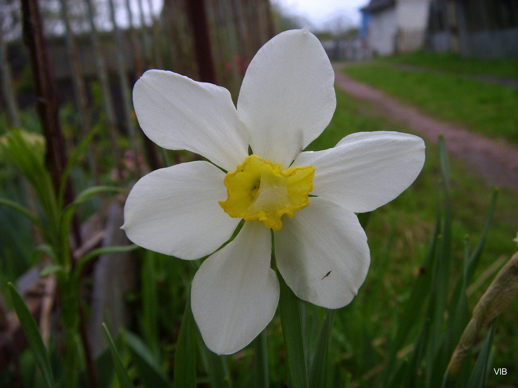 Путевой знак - Владимир Путевой знак - Владимир