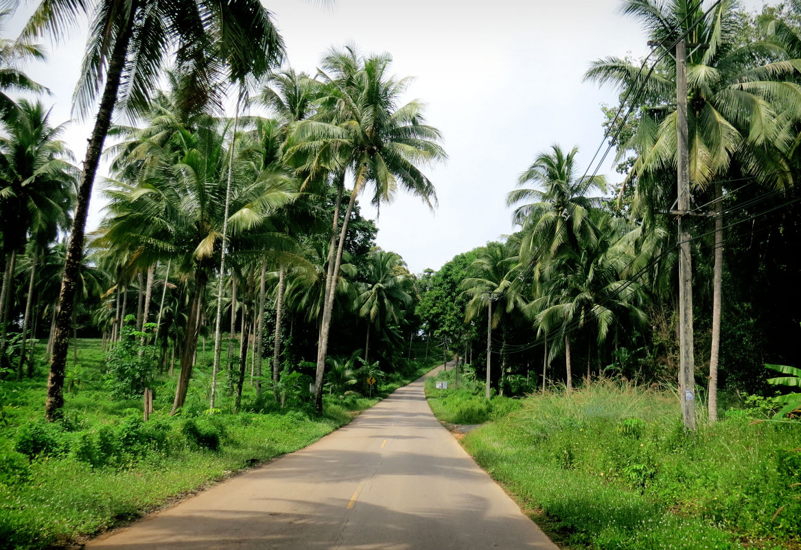 Ko Chang - Наталья Нарсеева