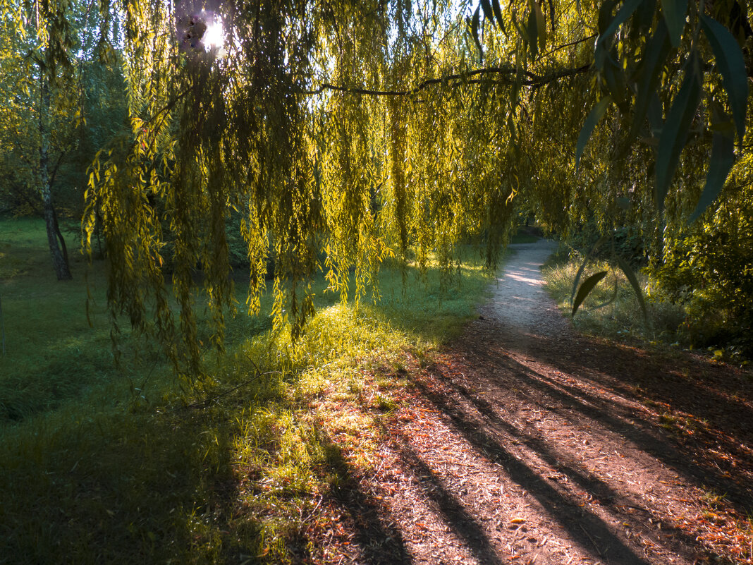 Луч солнца  золотого.... - Валентин Семчишин
