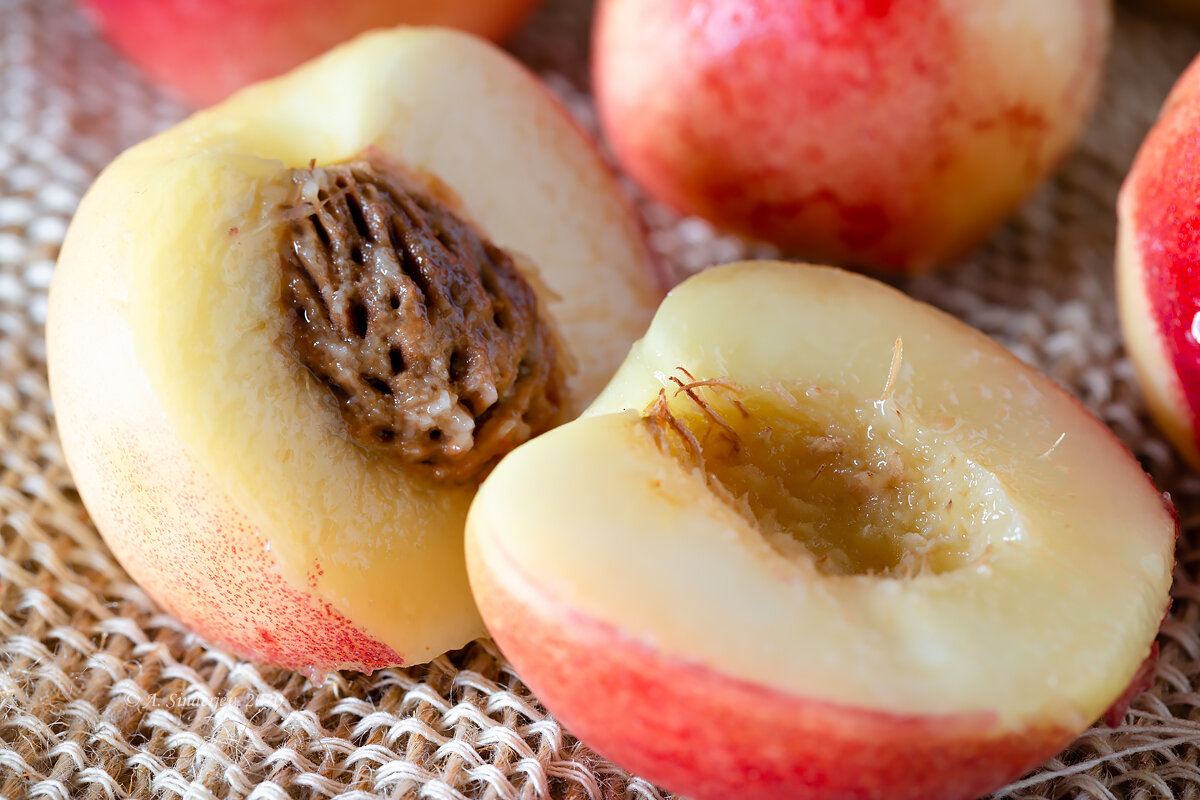 Нектарин макро - Александр Синдерёв