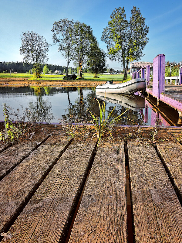 *** - Денис Масленников