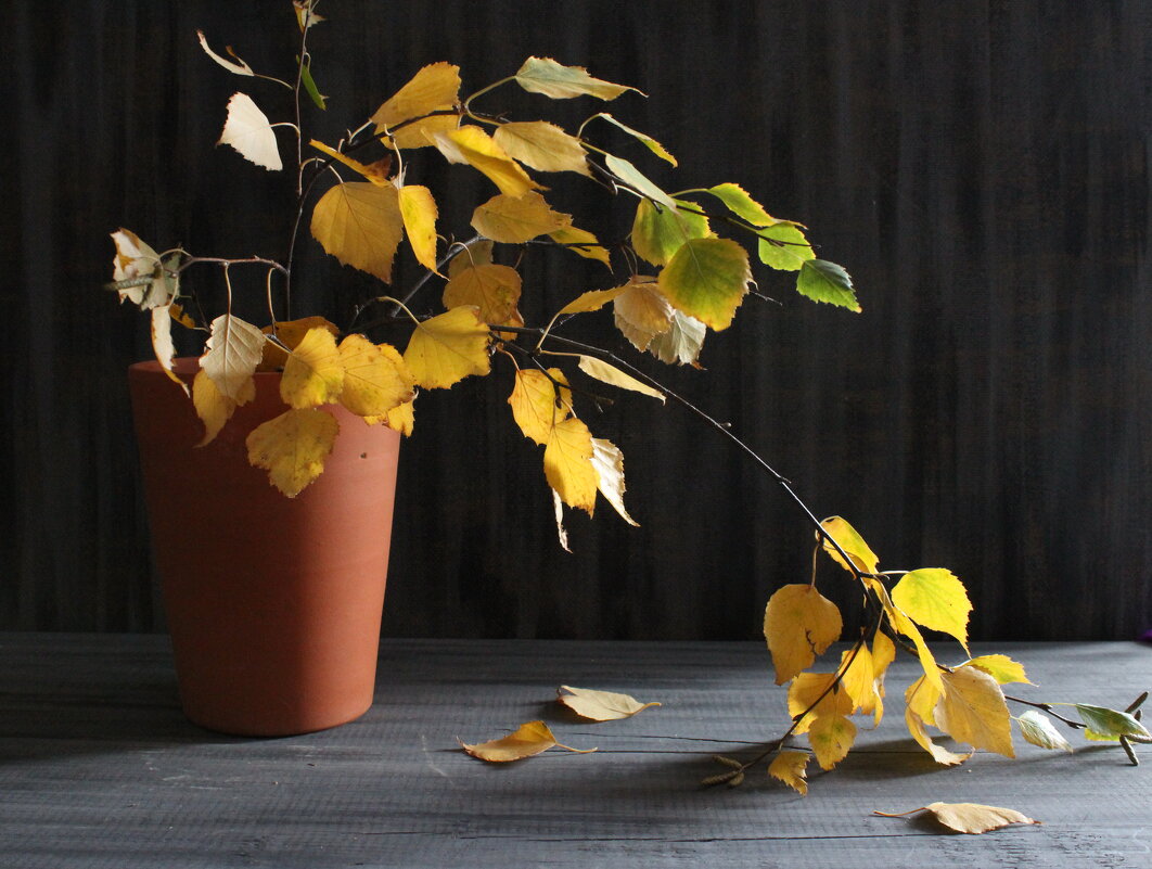 Жёлтые краски осени. - Нина Сироткина Жёлтые краски осени. - Нина Сироткина