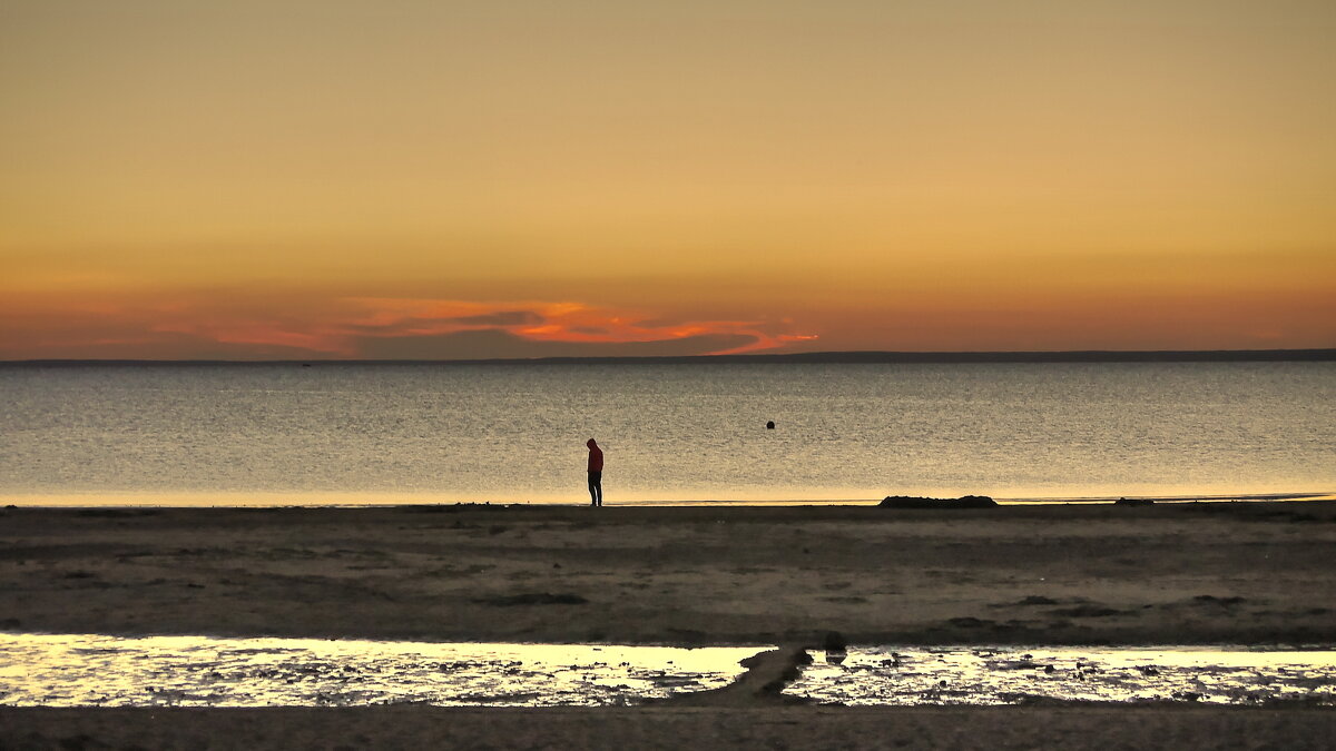 Комарово 1.09.2020 - Павел Комарово 1.09.2020 - Павел