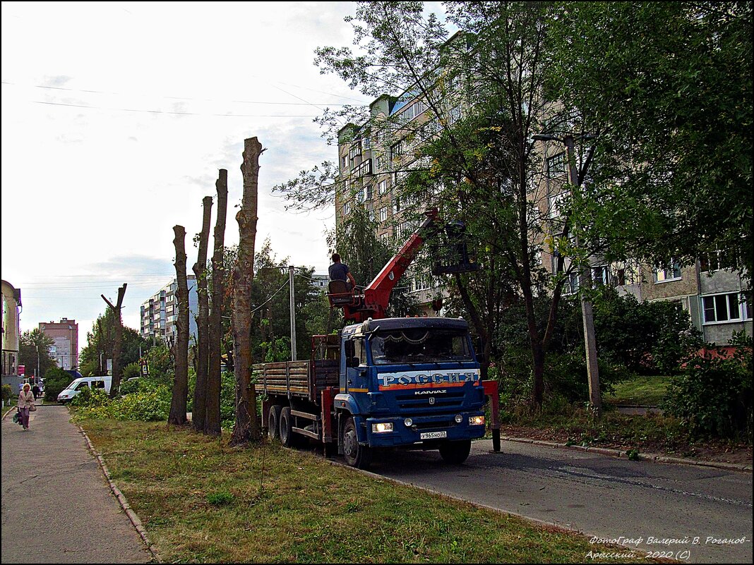 ВЛАДИМИР ПРОВИНЦИАЛЬНЫЙ_2020 - Валерий Викторович РОГАНОВ-АРЫССКИЙ