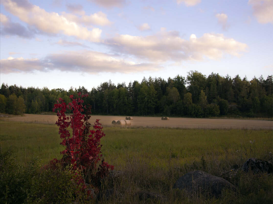 Солнце, не уходи... - liudmila drake Солнце, не уходи... - liudmila drake