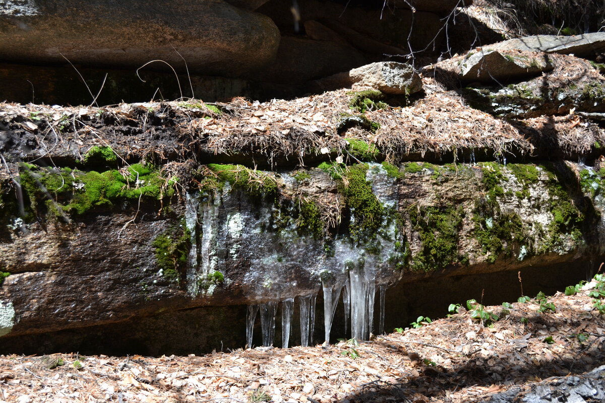 Лёд и жизнь... - Андрей Хлопонин Лёд и жизнь... - Андрей Хлопонин