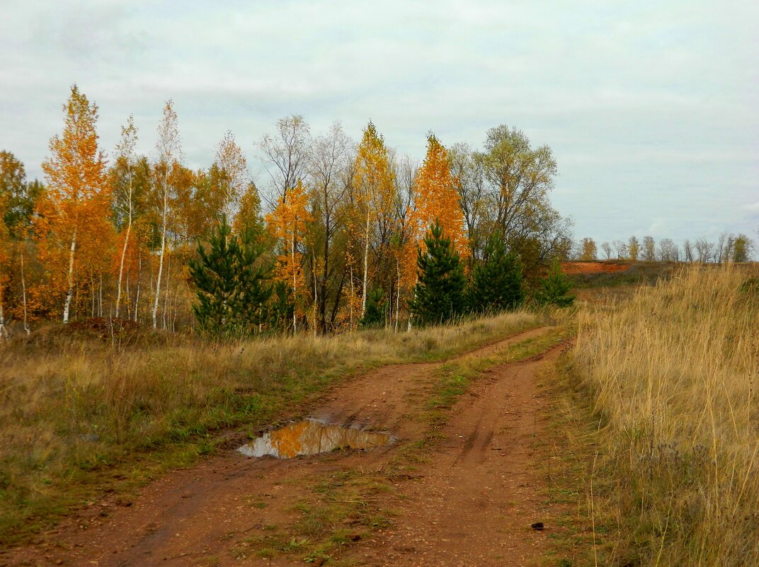 ОСЕНЬ. - Галина 