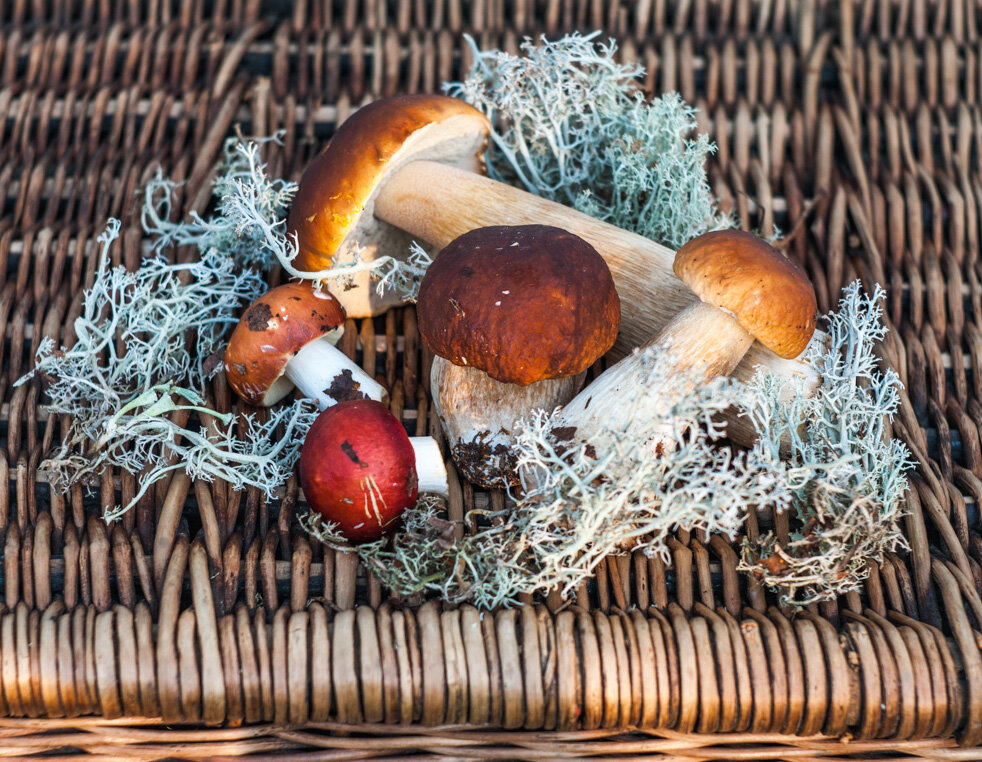 !!! - Анатолий Нецепляев