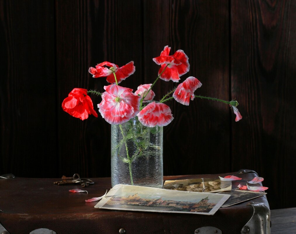 Старая открытка - Наталья Казанцева Старая открытка - Наталья Казанцева