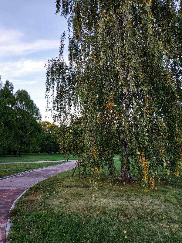 сентябрь в парке - Валентина. .