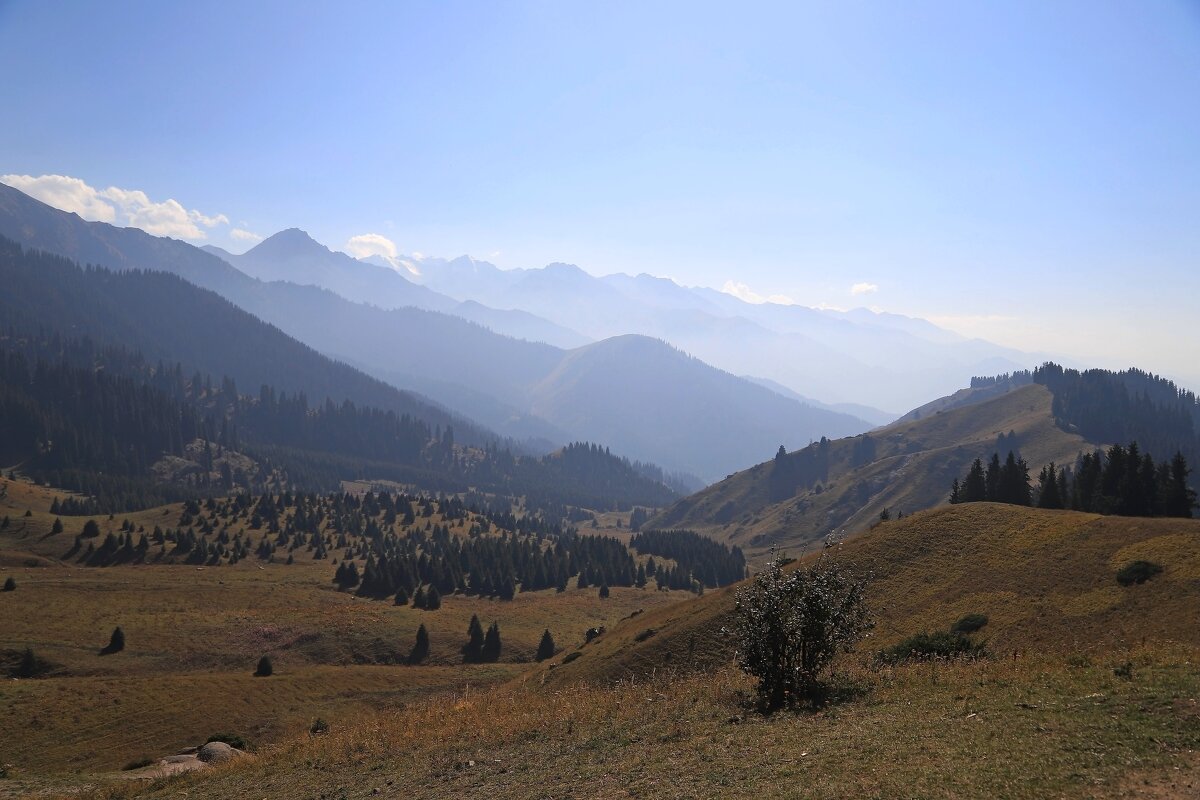Кок-Жайлау - Андрей Щукин Кок-Жайлау - Андрей Щукин