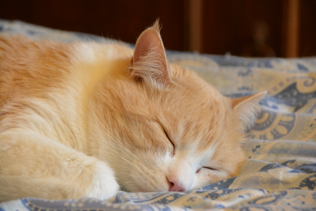 Устал - Николай 