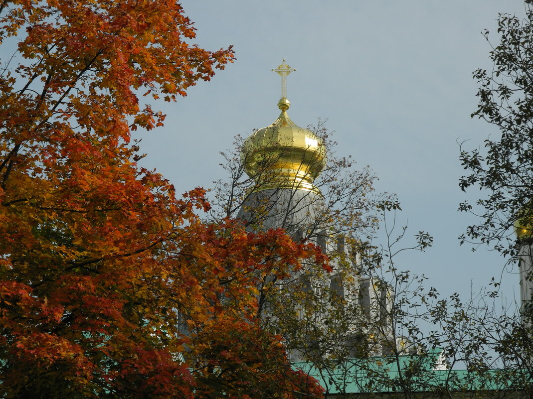 Истринская осень - Леонид Иванчук