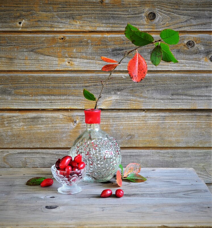 Кизил готов лишь в сентябре...2 - Наталья Natupans