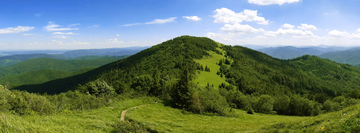 Карпати - Роман )