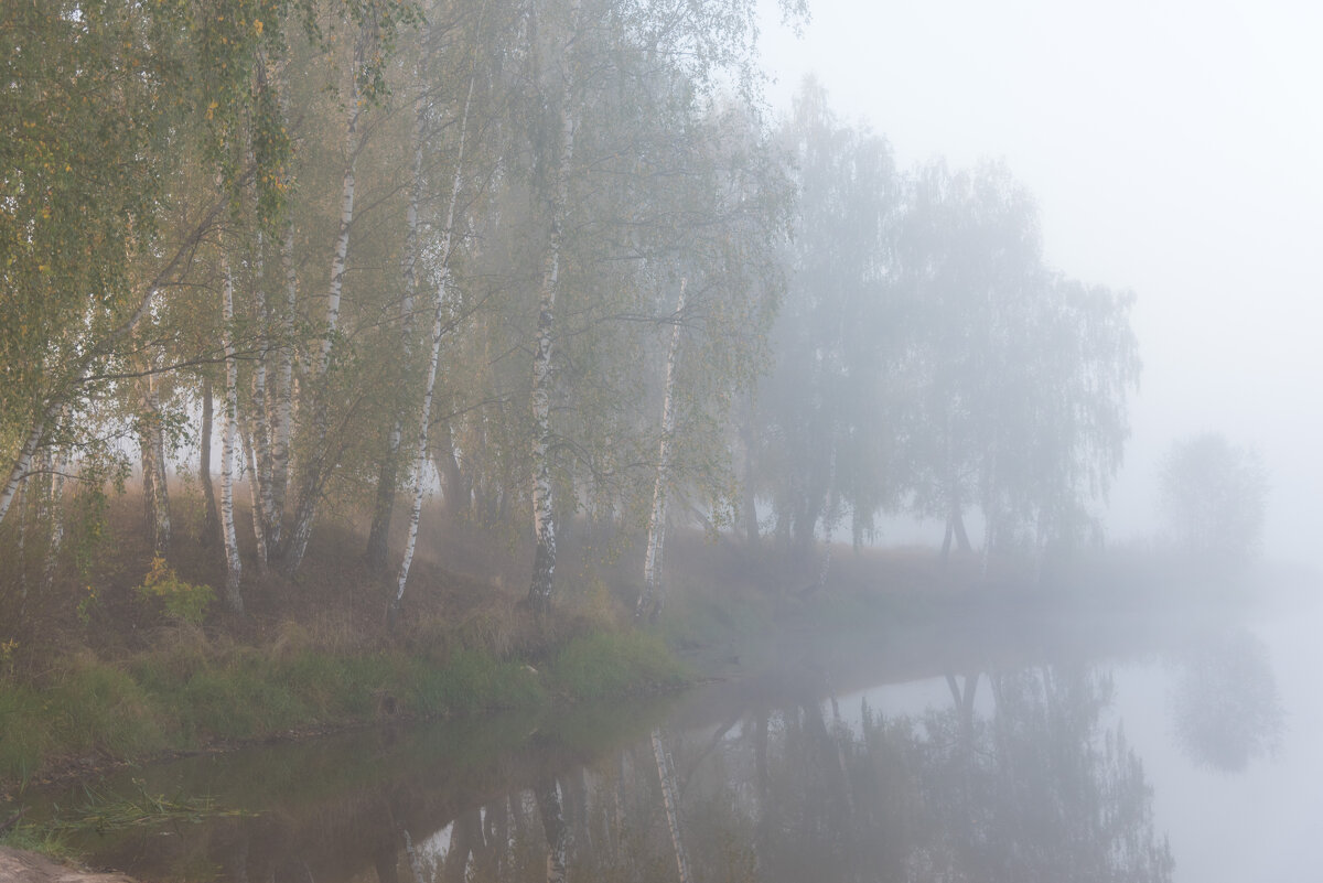 Утро на озере. - Владимир Безбородов