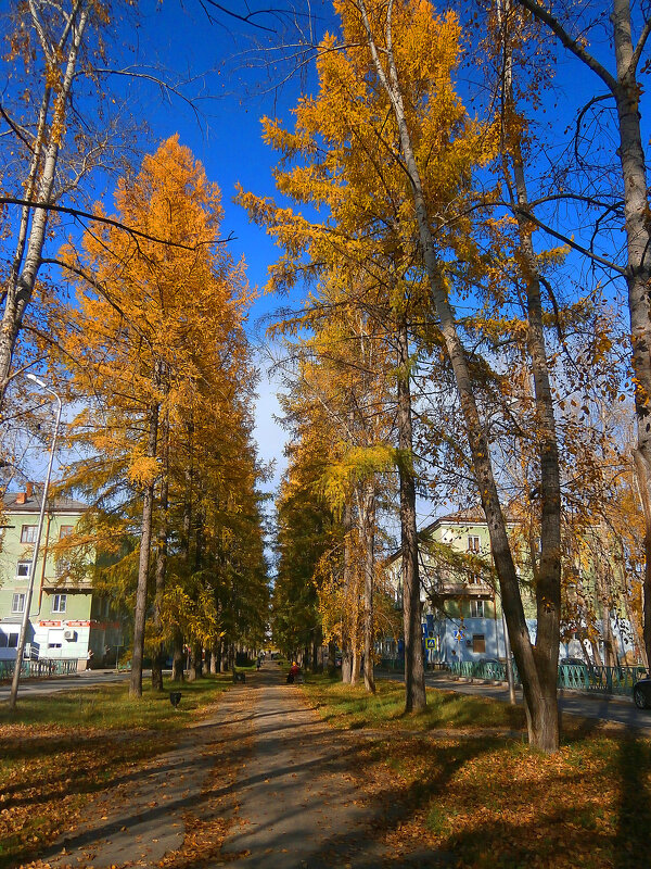 Осень в городе. - Валерьян Запорожченко