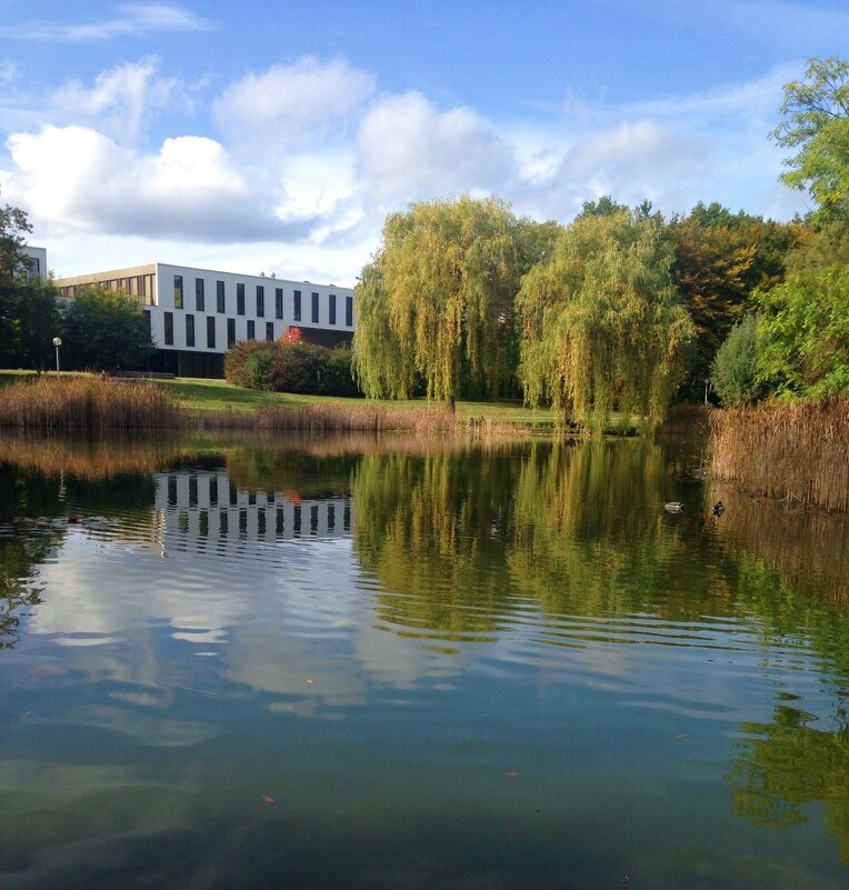 ... - Galina Dzubina ... - Galina Dzubina