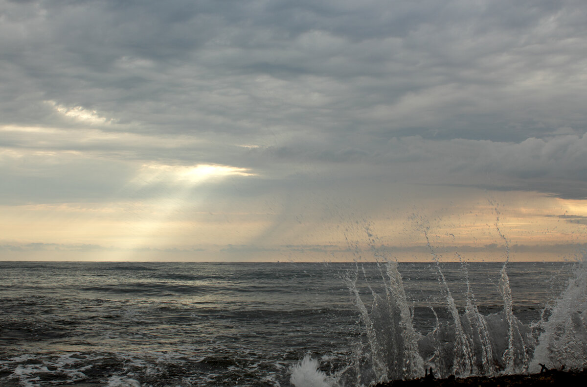 *** - Ольга Анянова *** - Ольга Анянова