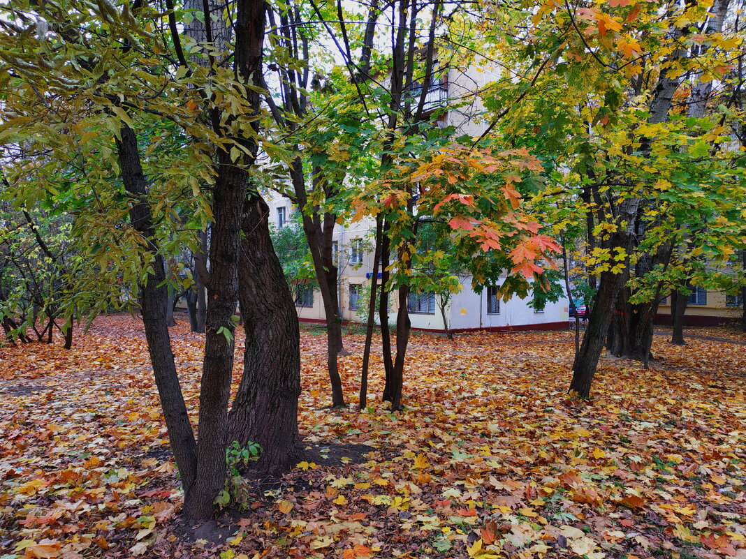 Осень в Москве - Андрей Лукьянов