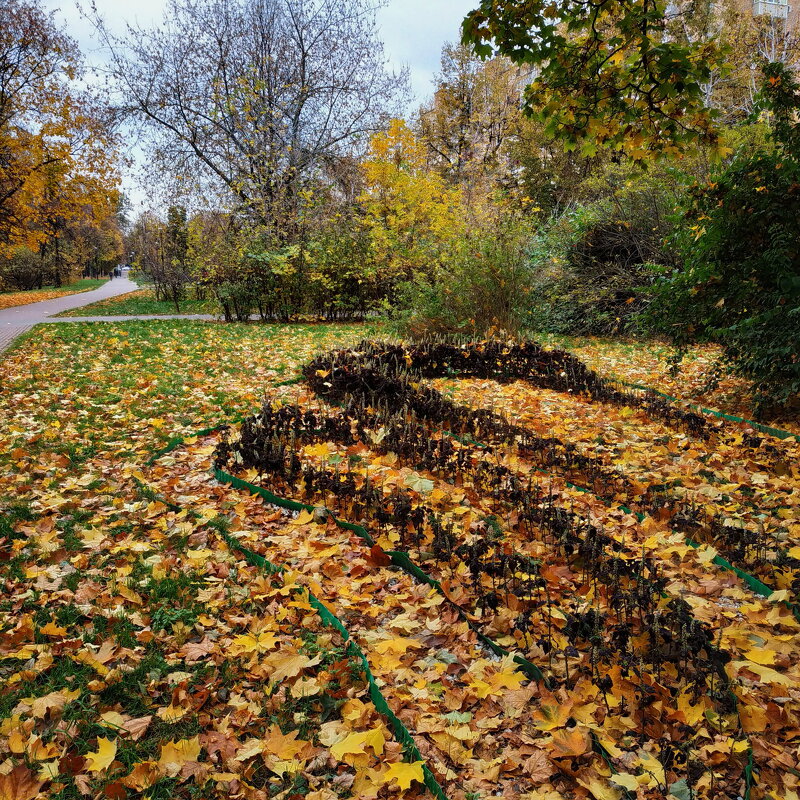 Осень в Москве - Андрей Лукьянов