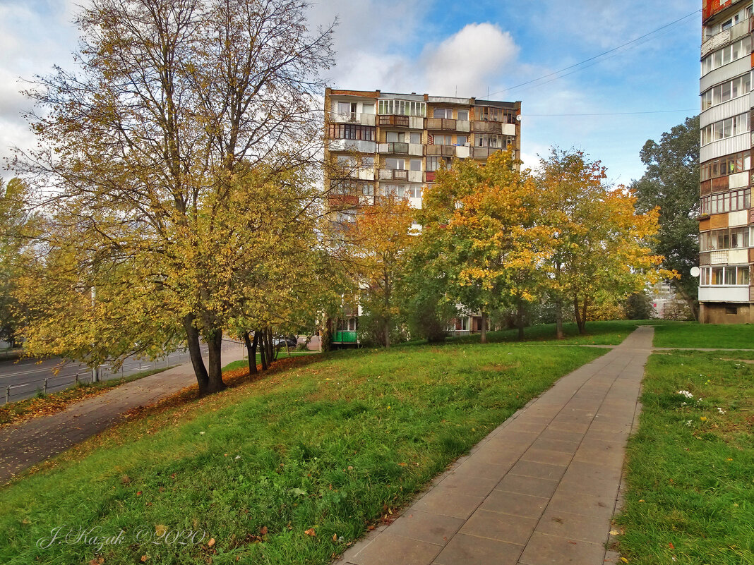 * - Елена Kазак (selena1965) * - Елена Kазак (selena1965)