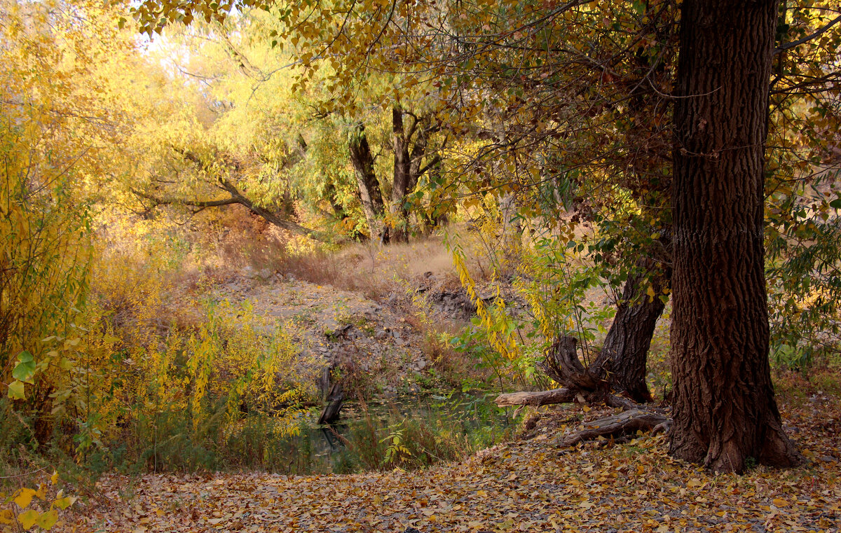 Октябрь - Dr. Olver ( ОлегЪ )