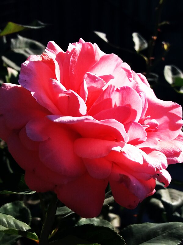 Под ласковыми лучами осеннего солнца - Татьяна Под ласковыми лучами осеннего солнца - Татьяна