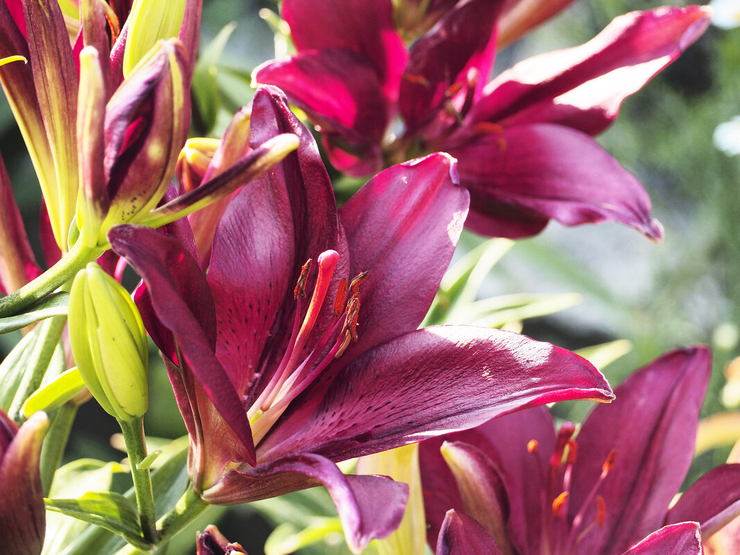 Притяжение ... - Дмитрий Притяжение ... - Дмитрий