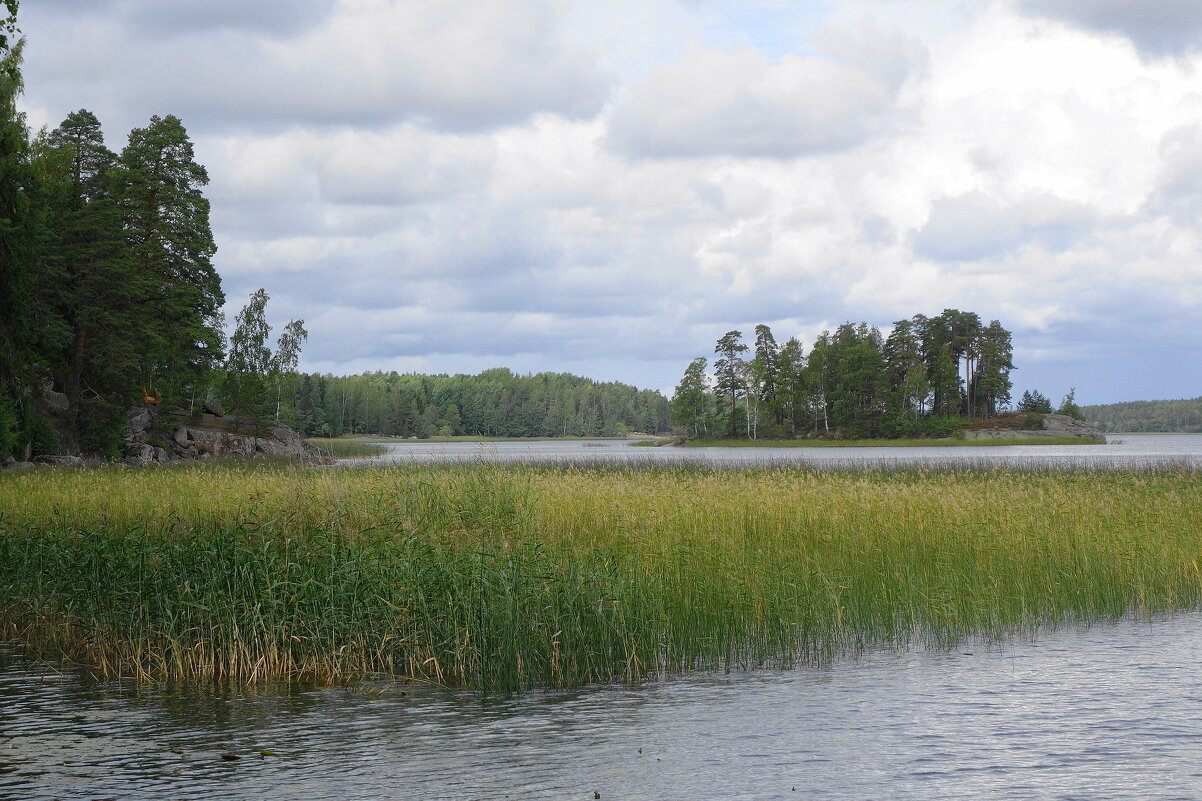 Парк Монрепо - Маргарита Батырева Парк Монрепо - Маргарита Батырева