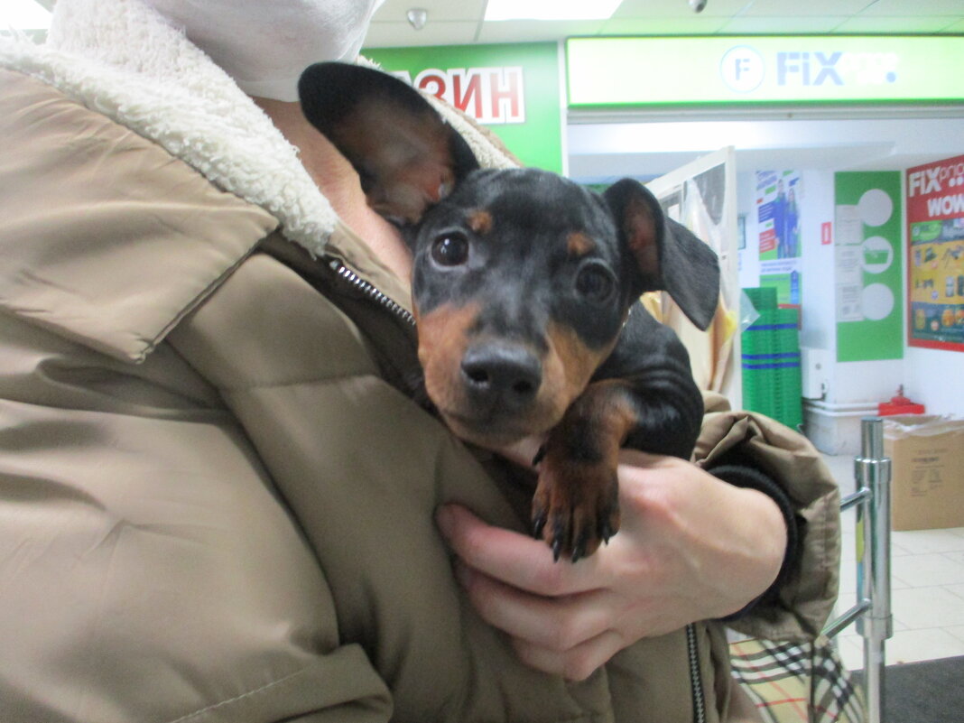 Малыш. - Зинаида 