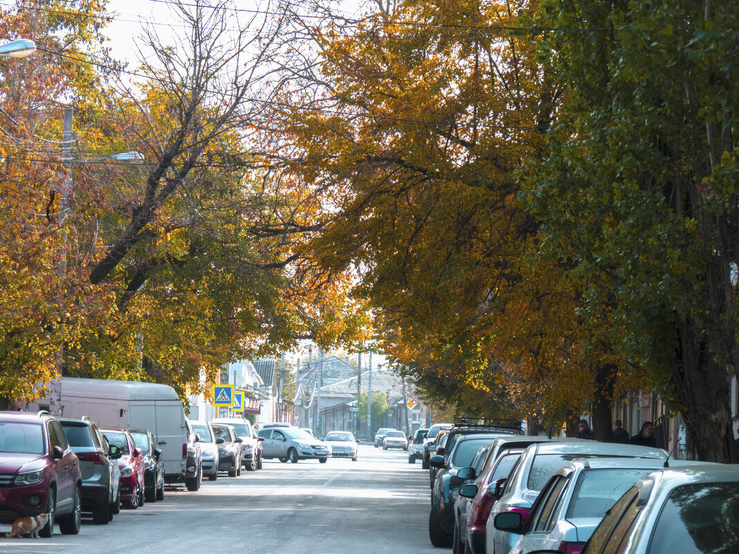 Самый бедный район старого города - Валентин Семчишин Самый бедный район старого города - Валентин Семчишин