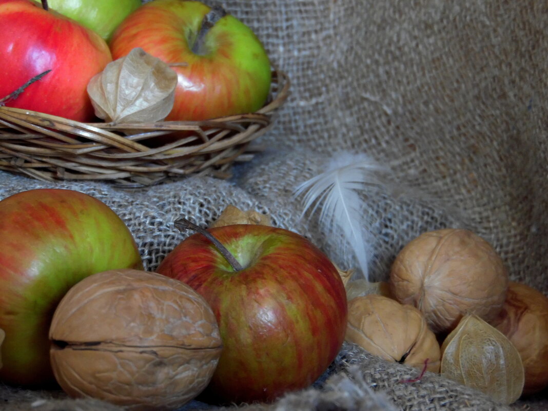 Много фруктов мы набрали, овощей насобирали, можно зиму зимовать, и запасы поедать. - nadyasilyuk Вознюк
