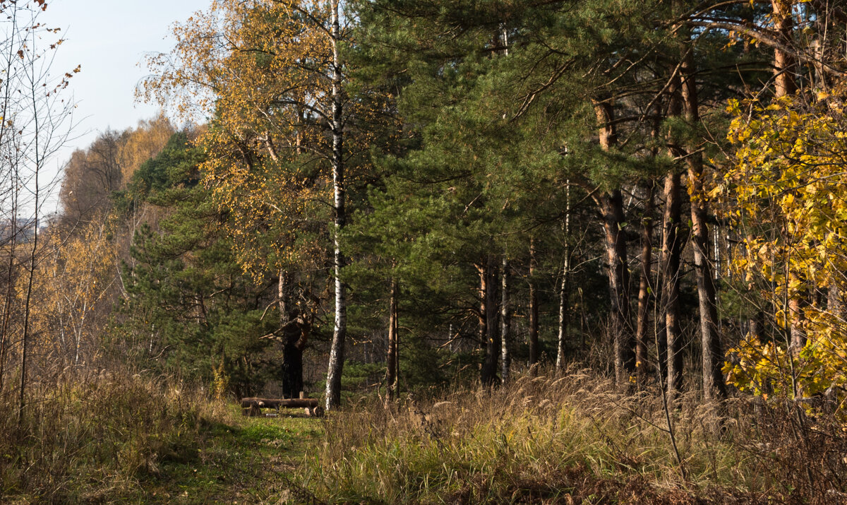 Скамейка... - Владимир Безбородов