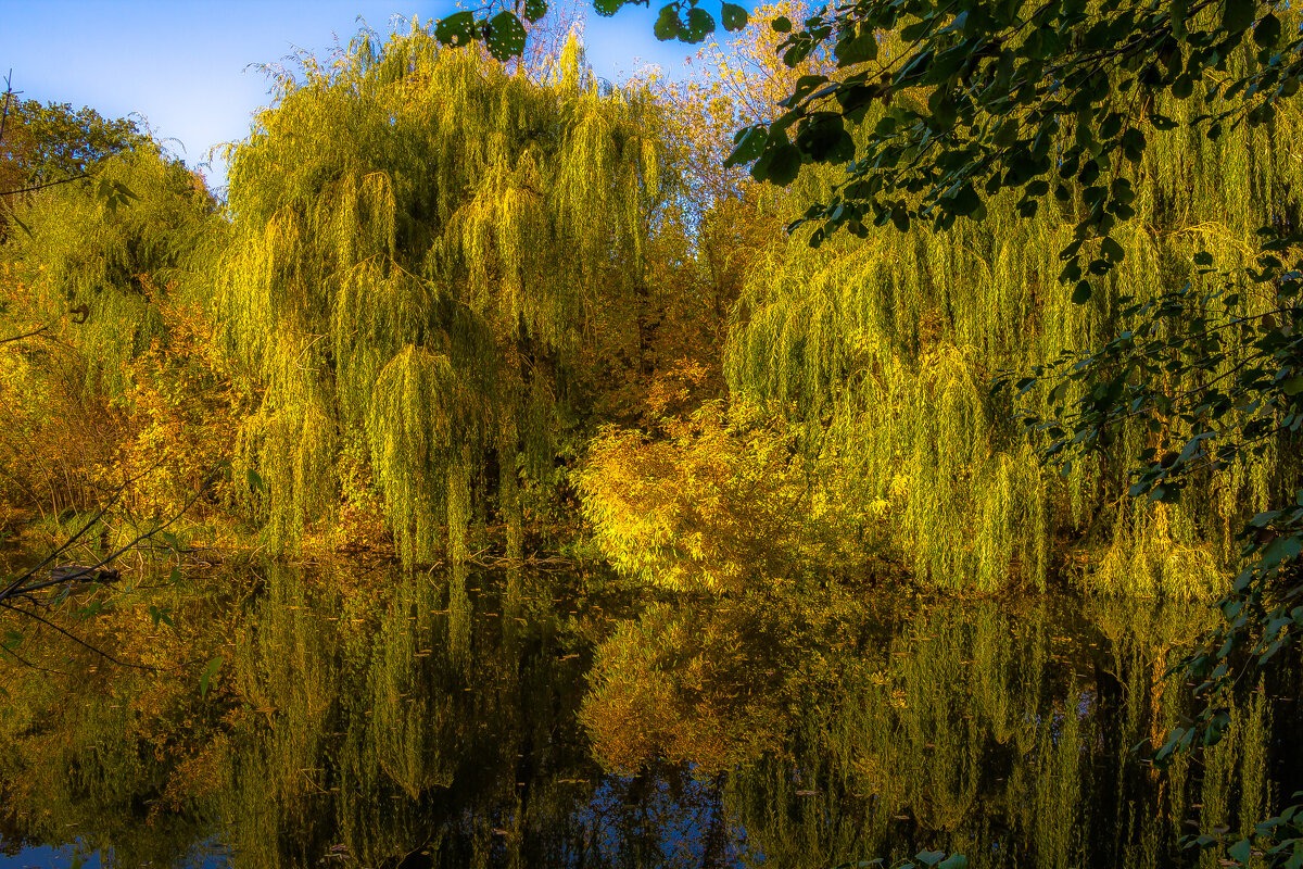 /// - Евгений Леоненко /// - Евгений Леоненко