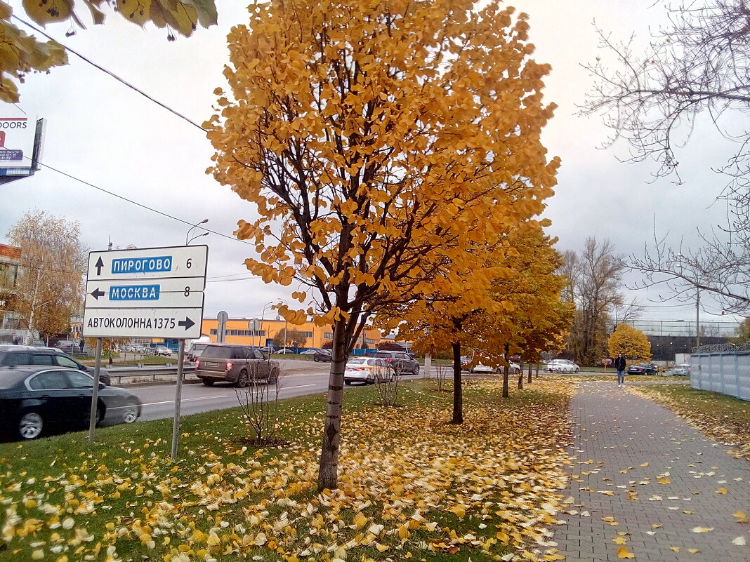 Дорога в Пирогово. - Павел Михалёв